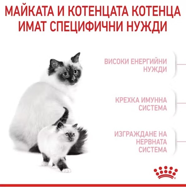 Royal Canin Mother and Babycat - Суха храна за бременни и кърмещи котки и подрастващи котенца от 1 до 4 месеца